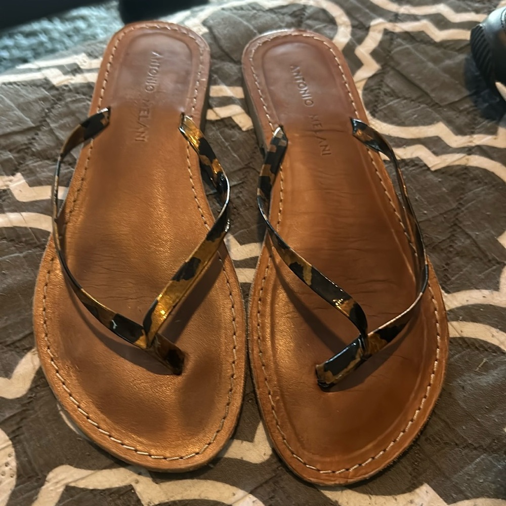 Tortoise flip flops